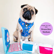 Howl-lywood - No Pull Adjustable Dog Harness 