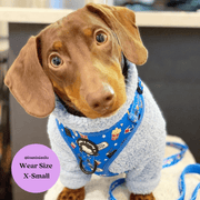 Howl-lywood - No Pull Adjustable Dog Harness 