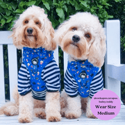 Howl-lywood - No Pull Adjustable Dog Harness 