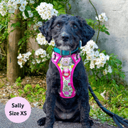 Pink Lemonade - Adventure No Pull Harness 