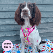 Pink Lemonade - Adventure No Pull Harness 