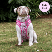 Shake it Off (Poochie's Version) - Adventure No Pull Harness 