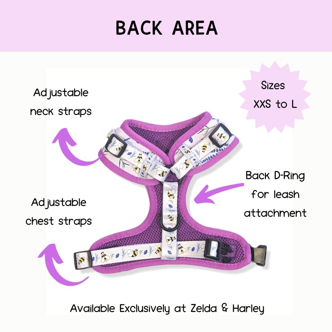 Sweet as Can Bee - No Pull Adjustable Dog Harness 