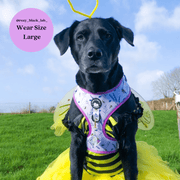 Sweet as Can Bee - No Pull Adjustable Dog Harness 