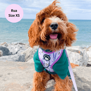 Sweet as Can Bee - No Pull Adjustable Dog Harness 