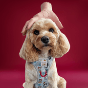 Woofsday - Adventure No Pull Harness 