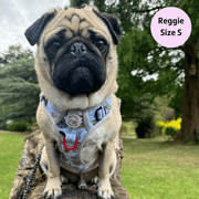 Woofsday - Adventure No Pull Harness 