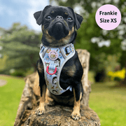 Woofsday - Adventure No Pull Harness 