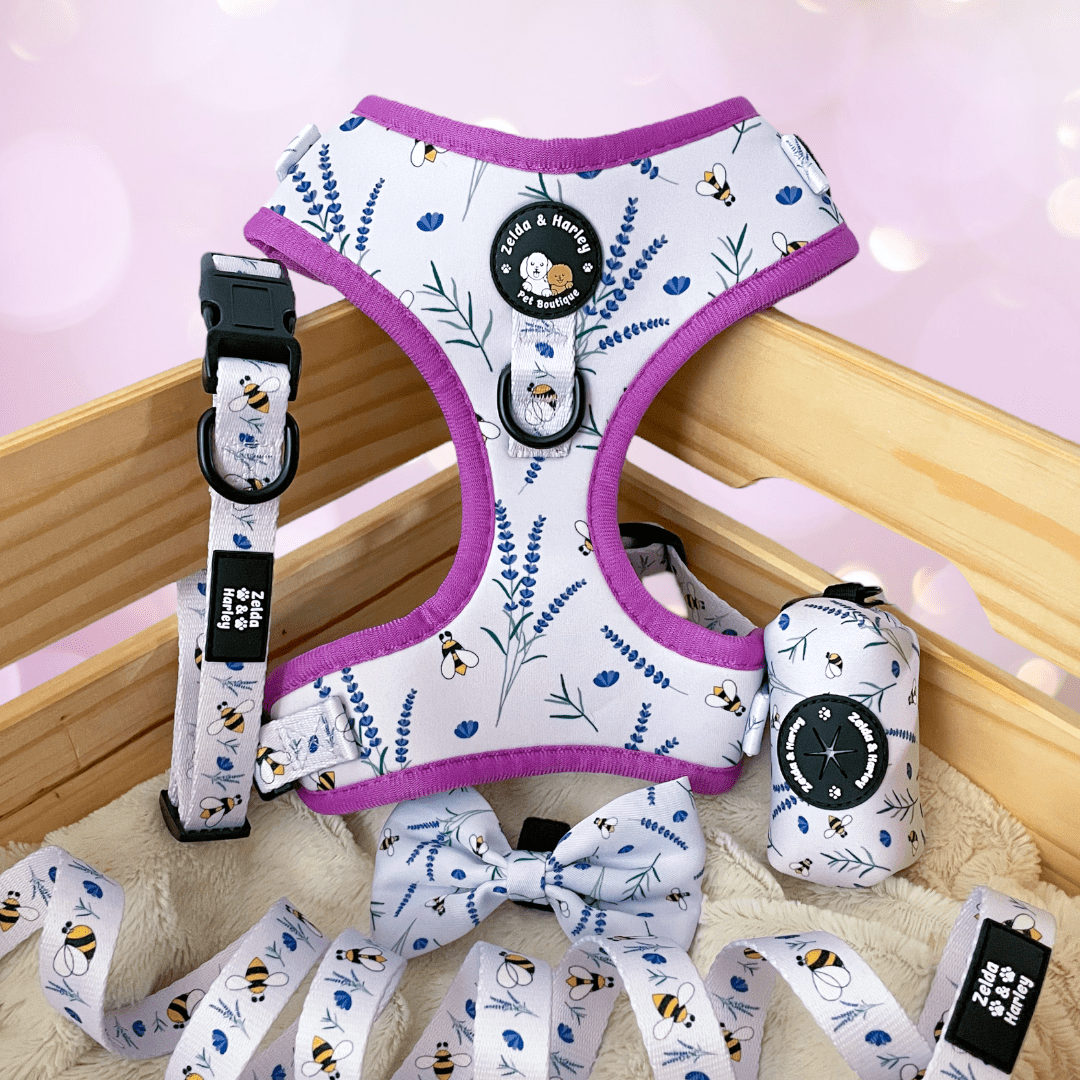 Sweet as Can Bee - No Pull Adjustable Dog Harness 