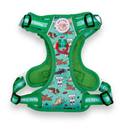 Zoomies 2.0 - Adventure No Pull Harness 