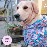 Doggosaurus Rex Reversible Dog Raincoat 