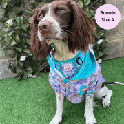 Doggosaurus Rex Reversible Dog Raincoat 