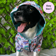 Doggosaurus Rex Reversible Dog Raincoat 